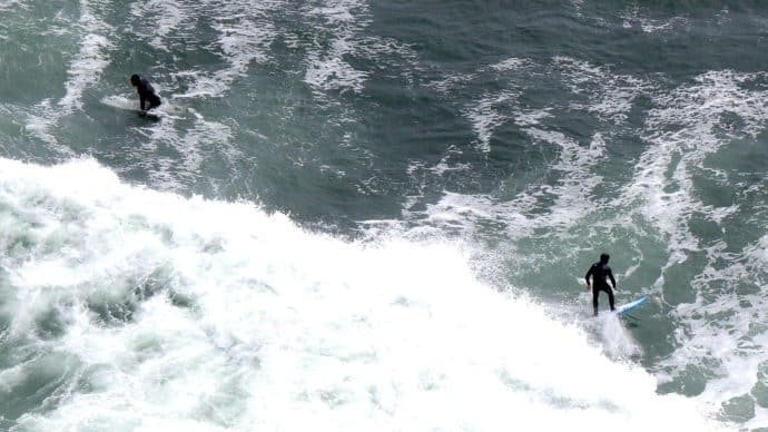 Es una leyenda urbana que las aguas de la San Francisco Bay estén infestadas de tiburones