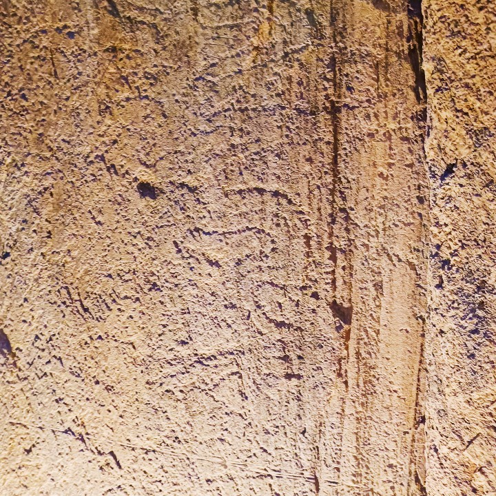 Petroglifos en el interior del Dolmen de la finca Toriñuelo