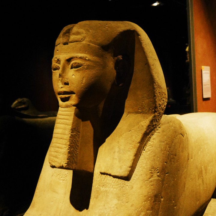 Esfinge en el Museo Egipcio de Torino