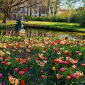 Koningin Astridpark en primavera