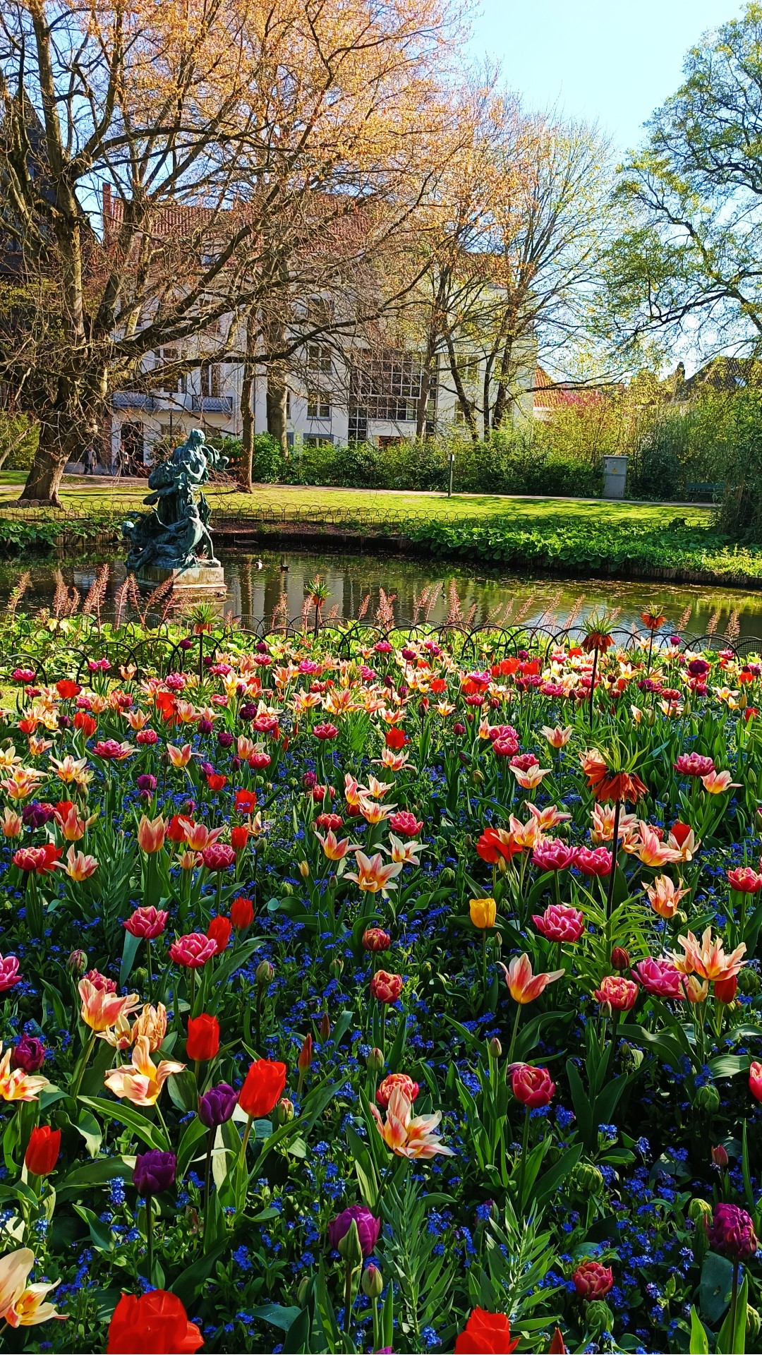 Koningin Astridpark en primavera