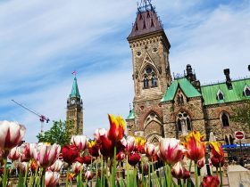 Las mejores cosas que ver y qué hacer en Ottawa, Canadá