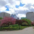 Parques que ver en Ottawa - Confederation Park