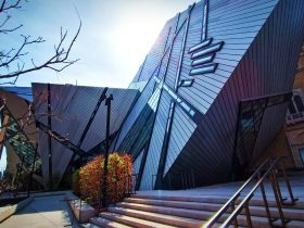 Visitar el Museo Real de Ontario - Royal Ontario Museum