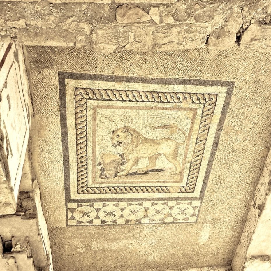 Mosaico de un león - Éfeso