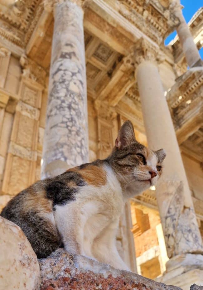 A beautiful lady in front of the Library of Celsus