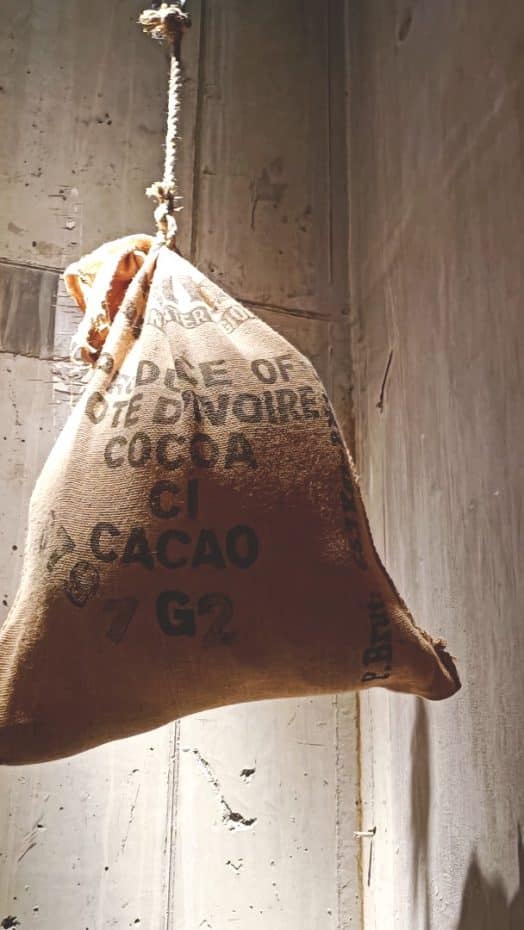 Cultivo y transporte del cacao