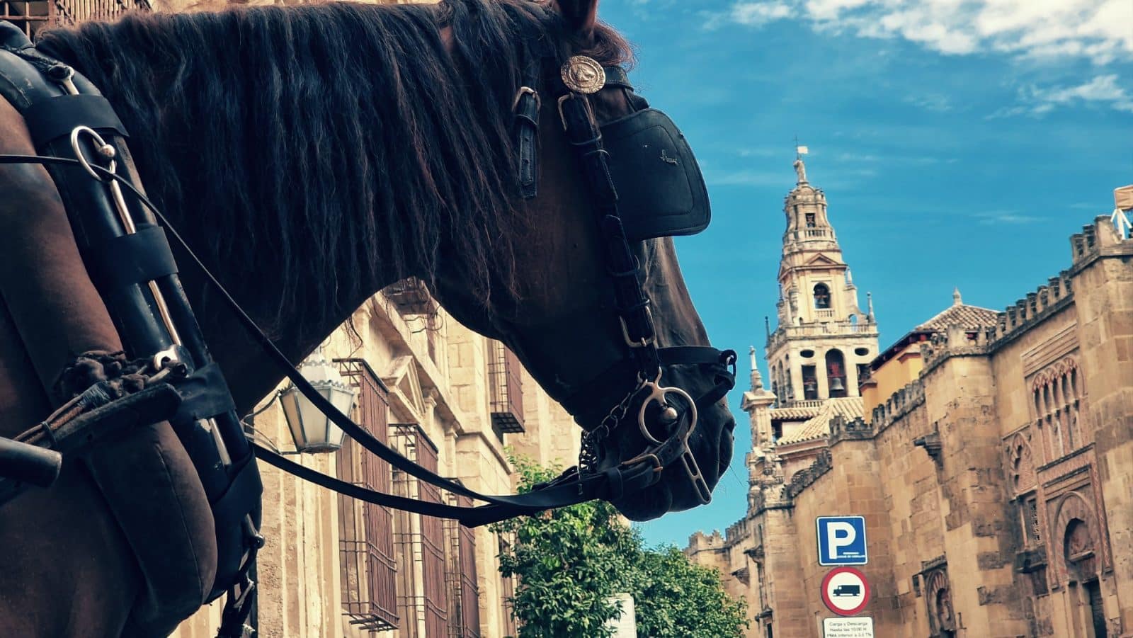 Atracciones imperdibles que ver en Córdoba, España