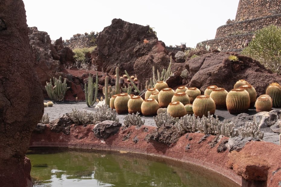 Jardín de Cactus de César Manrique - Imperdibles de Lanzarote