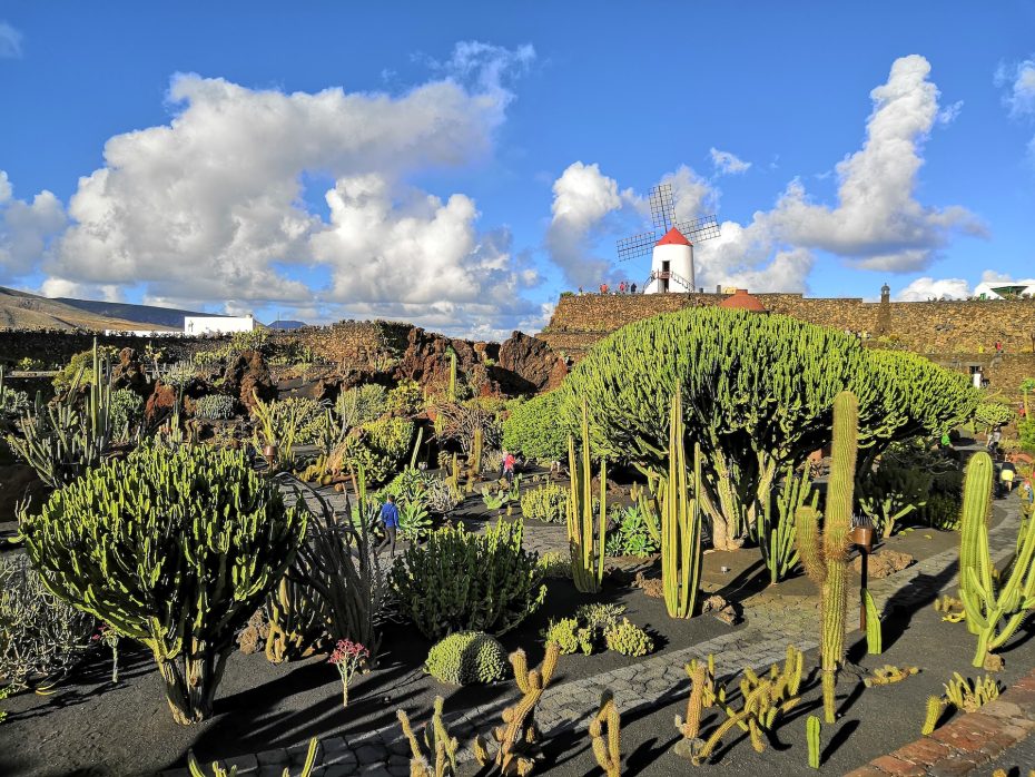 Molino de viento del Jardín de Cactus de Lanzarote