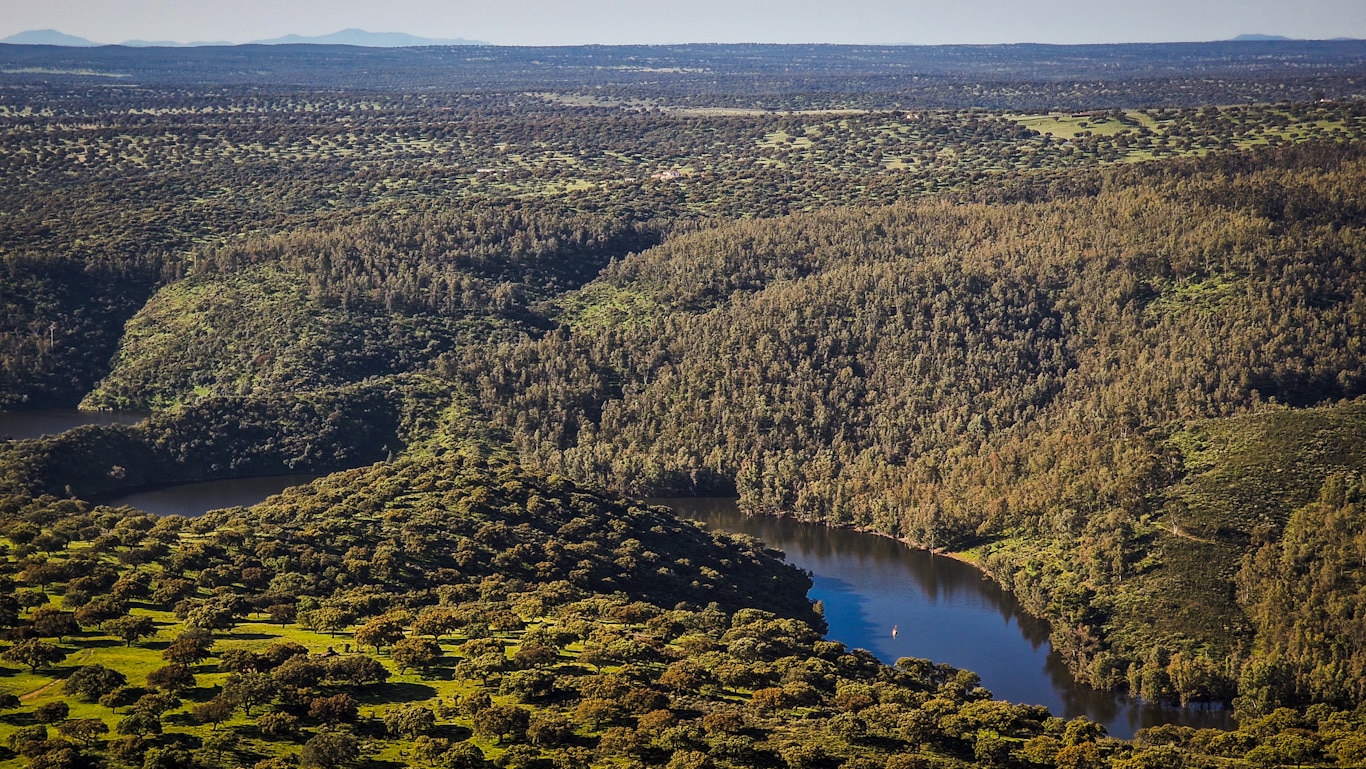 Tres días en Monfragüe