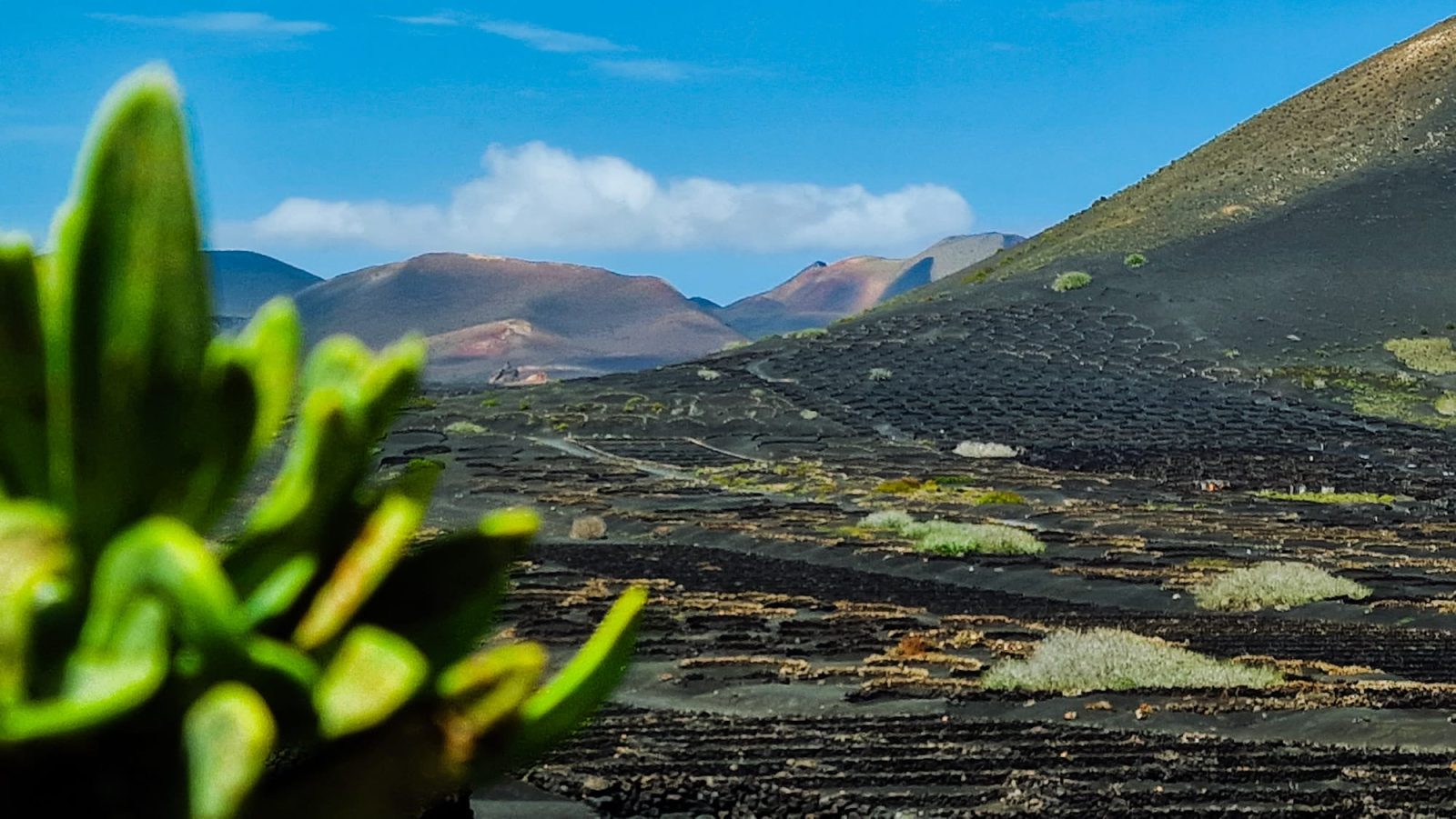 Lanzarote y César Manrique