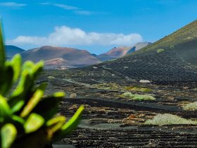 Lanzarote y César Manrique