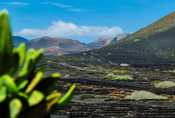 Lanzarote y César Manrique