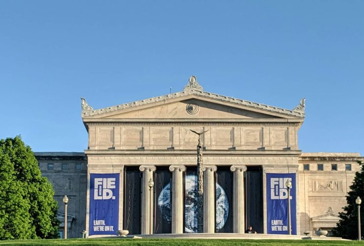 Top Museums to Visit in Chicago