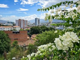 Top atracciones que ver en Cúcuta, Colombia