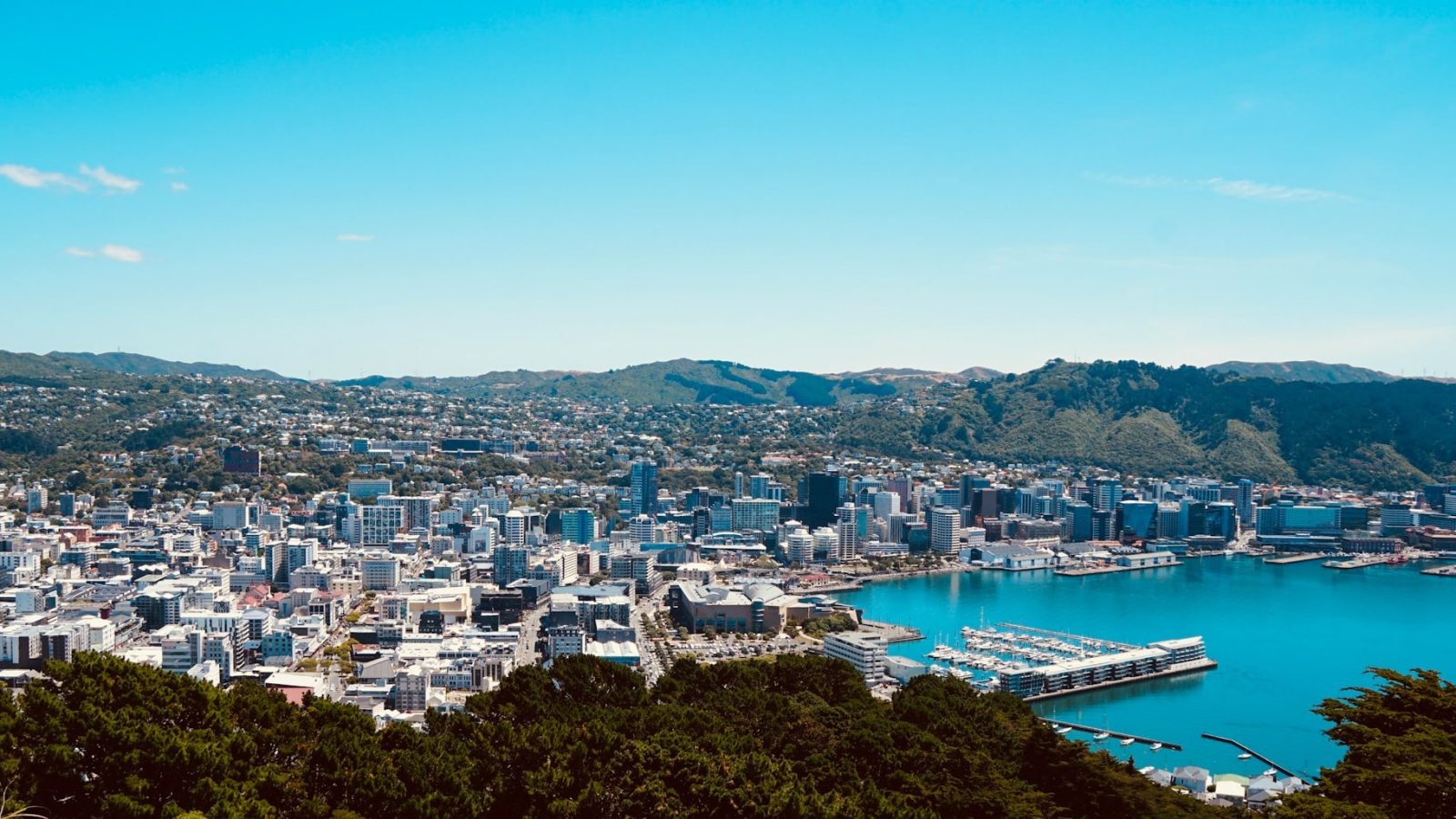 Descubre las mejores zonas donde dormir en Wellington