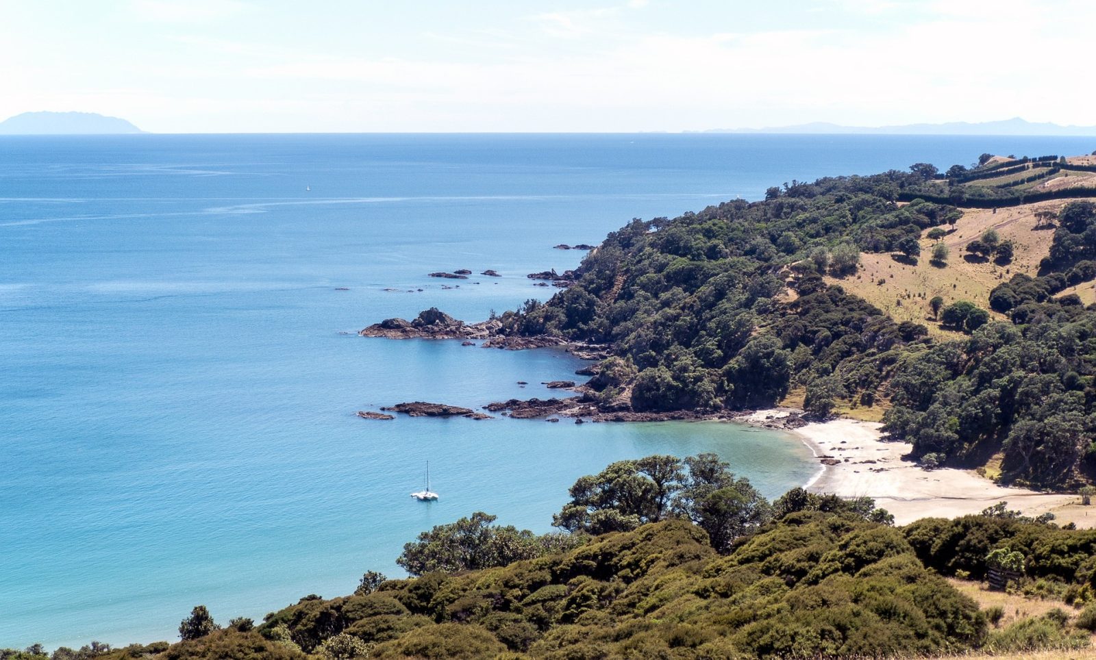 Descubre las mejores zonas y playas donde dormir en Isla Waiheke