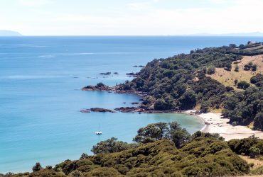 Descubre las mejores zonas y playas donde dormir en Isla Waiheke